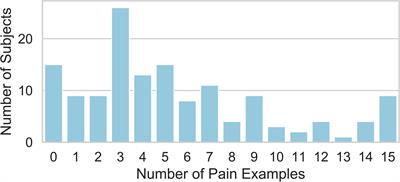Imagined Examples of Painful Experiences Provided by Chronic Low Back Pain Patients and Attributed a Pain Numerical Rating Score